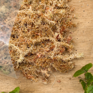 Musgo Sphagnum Deshidratado